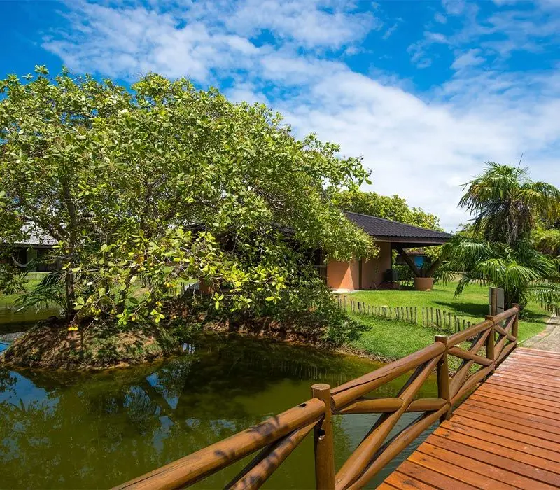 A natureza esplendida do vila gale mares.